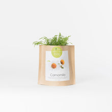 Carregar imagem na Galeria, Grow Bag Camomila Bio
