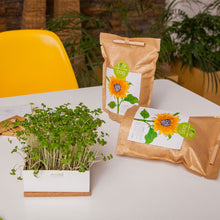 Carregar imagem na Galeria, Grow Bag Girassol Bio