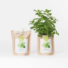 Carregar imagem na Galeria, Grow Bag Hortelã Bio