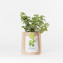 Carregar imagem na Galeria, Grow Bag Oregãos Bio