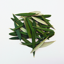 Carregar imagem na Galeria, Chá de Oliveira Bio