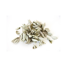 Carregar imagem na Galeria, Chá de Salvia Bio