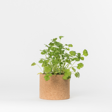 Carregar imagem na Galeria, Grow Cork Coentros Bio
