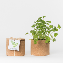 Carregar imagem na Galeria, Grow Cork Coentros Bio