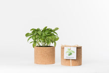 Carregar imagem na Galeria, Grow Cork Mangericão Bio