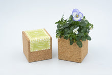 Carregar imagem na Galeria, Grow Cube Amor Perfeito Bio