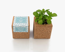 Carregar imagem na Galeria, Grow Cube Hortelã Bio