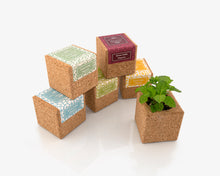 Carregar imagem na Galeria, Grow Cube Girassol Bio